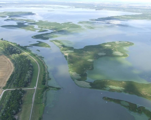Tisza-tó